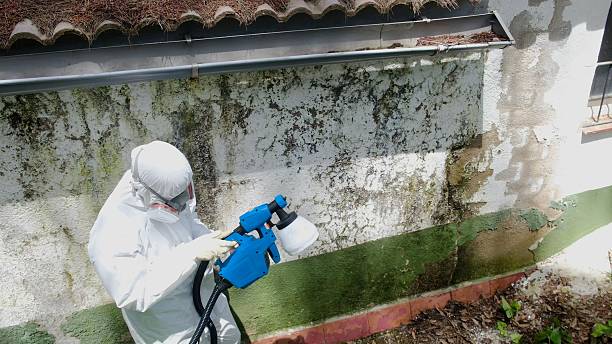 Trusted Mold Remediation service in Haddon Heights, NJ - Cheap Mold Removal